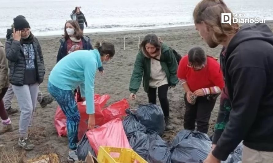 Convocan a valdivianos a limpiar Playa Grande de Niebla