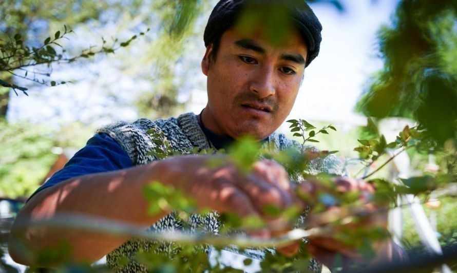 Lanzan financiamiento especial para proyectos sustentables de jóvenes rurales