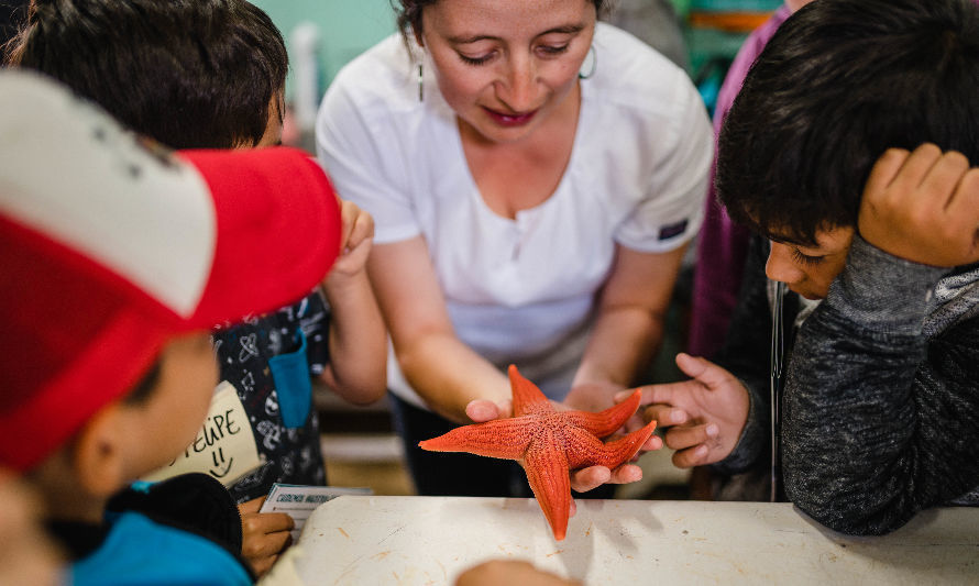 Oceanósfera invita a sumarse a la campaña “Por un Océano Vivo”