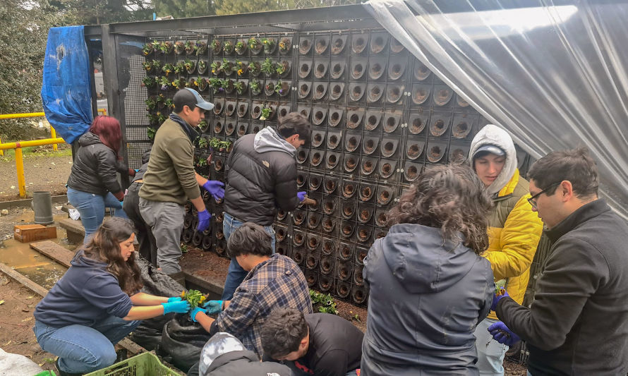 Instituto Adolfo Matthei implementó innovadora tecnología descontaminante en Osorno