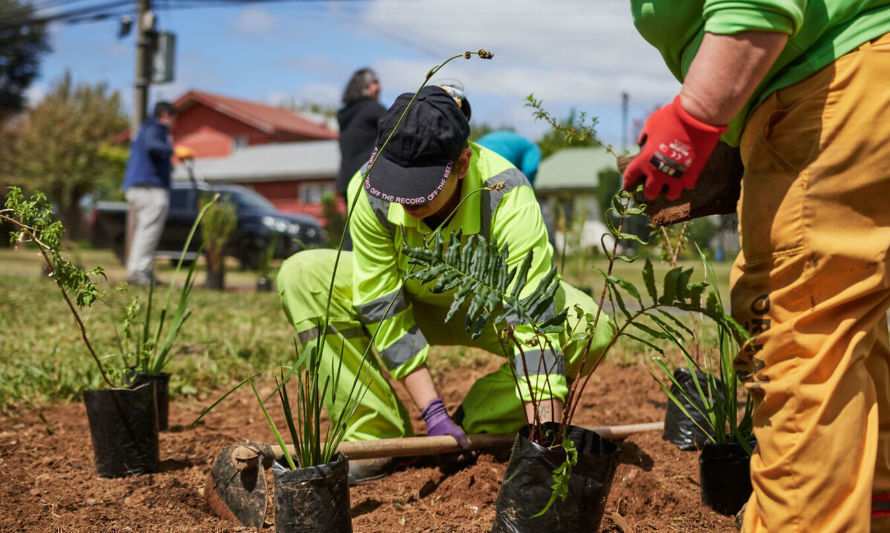 Iniciativa municipal ha permitido recuperar con flora nativa los espacios urbanos de Valdivia 