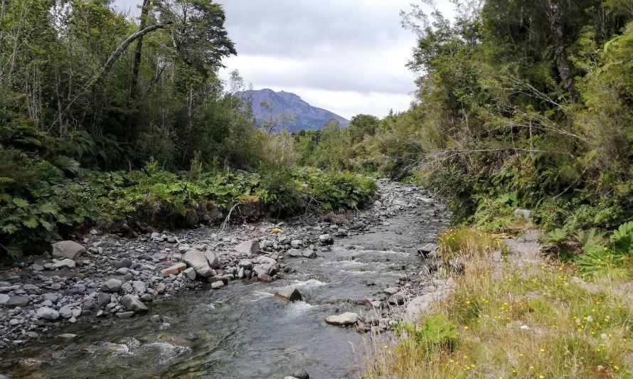 La iniciativa busca conservar y restaurar las cuencas de agua en estas comunas. Crédito: Cedida.