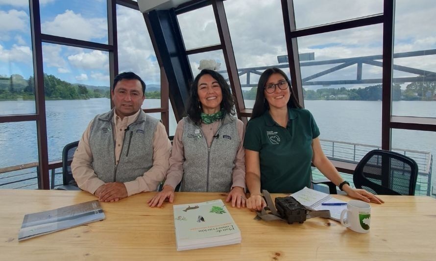 Reserva Costera Valdiviana: 20 años conservando la flora y la fauna 