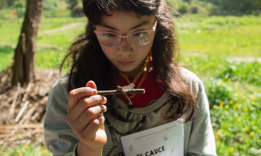 Programa de educación ambiental del río San Pedro concientiza a niños de Panguipulli y Los Lagos