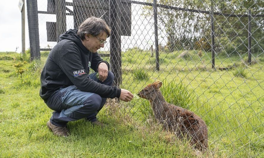 Doctor pudú fue destacado por sus labores de rescate con premio "Nuevos Héroes" 2023