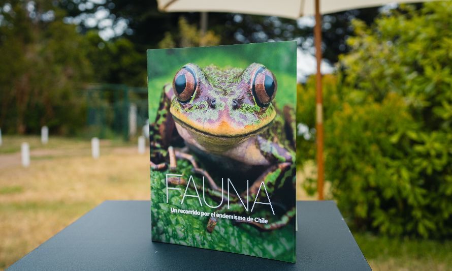Lanzan libro educativo "Fauna, un recorrido por el endemismo de Chile" 