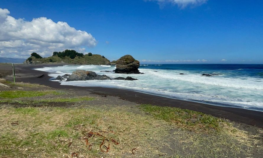 Humedal Desembocadura río Biobío es declarado oficialmente como Santuario de la Naturaleza  