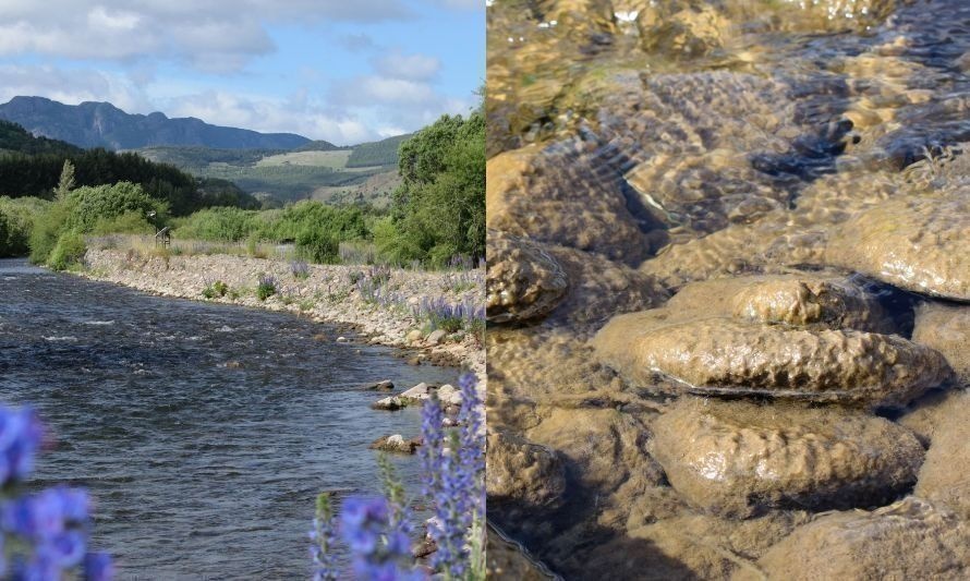 Vecinos en alerta por descargas de residuos en río Coyhaique 