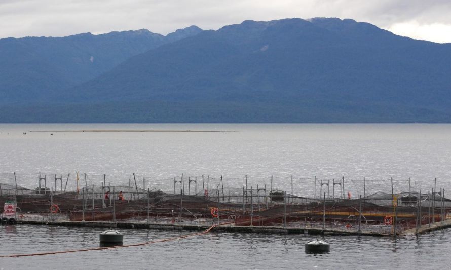 Centro de Engorda de Salmones (CES) en Aysén. Foto: Maximiliano Bazán, Fundación Terram.