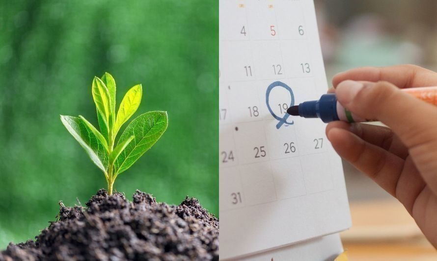 Calendario Ambiental 2024: conoce las fechas más importantes del año