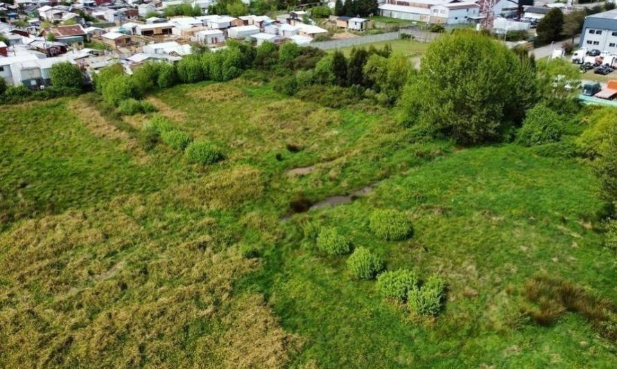 Avanza trabajo para reconocer Humedal Esperanza en Valdivia