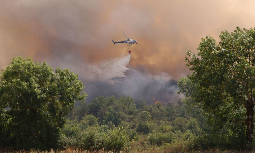 Llaman a la prevención y advierten sobre los impactos de los incendios forestales en Chile