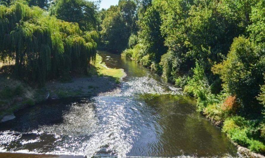 Osorninos podrán participar en taller sobre contaminación de río Damas y el buen vivir