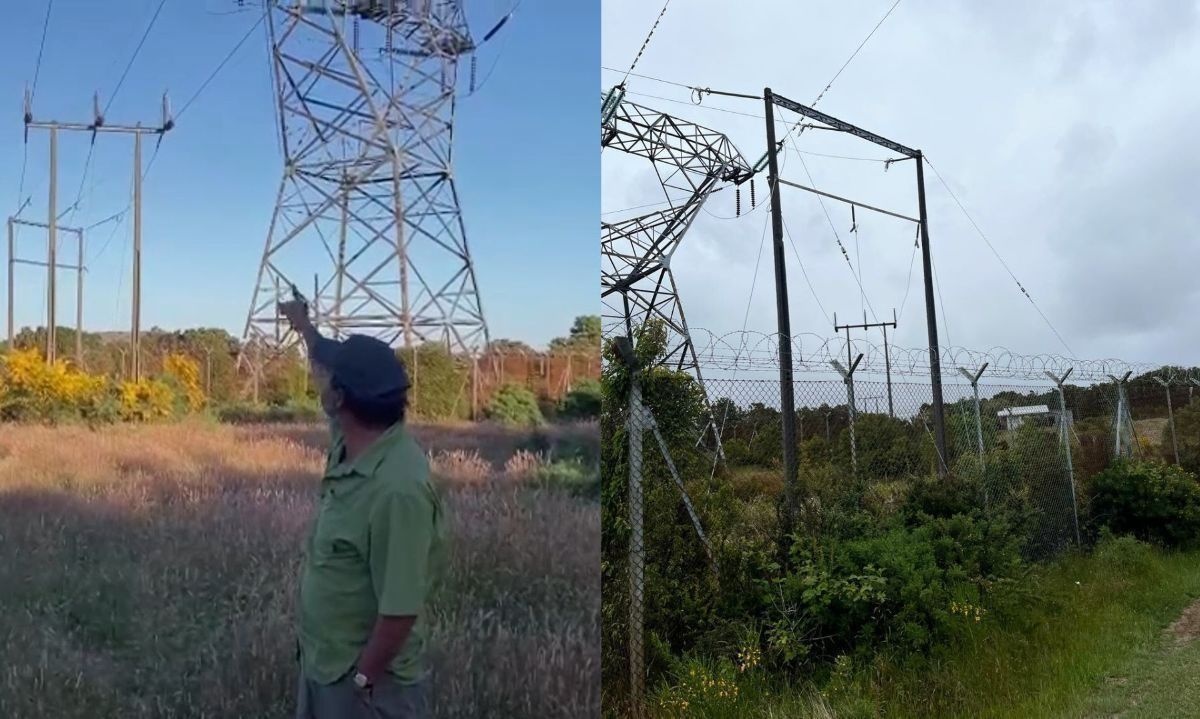 Denuncian abandono por más de diez años de línea eléctrica en Chiloé 