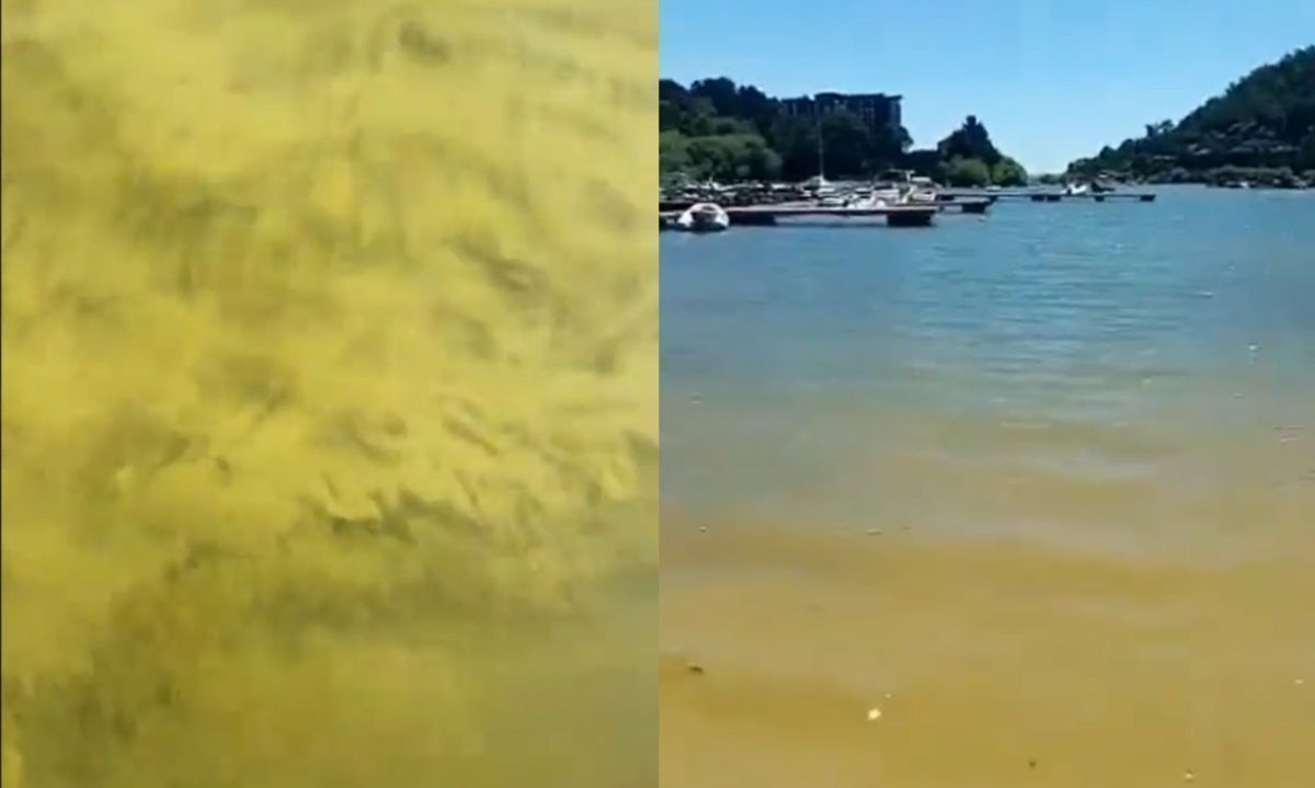 Imágenes compartidas por redes sociales del lago Villarrica. Crédito: Redes Sociales.