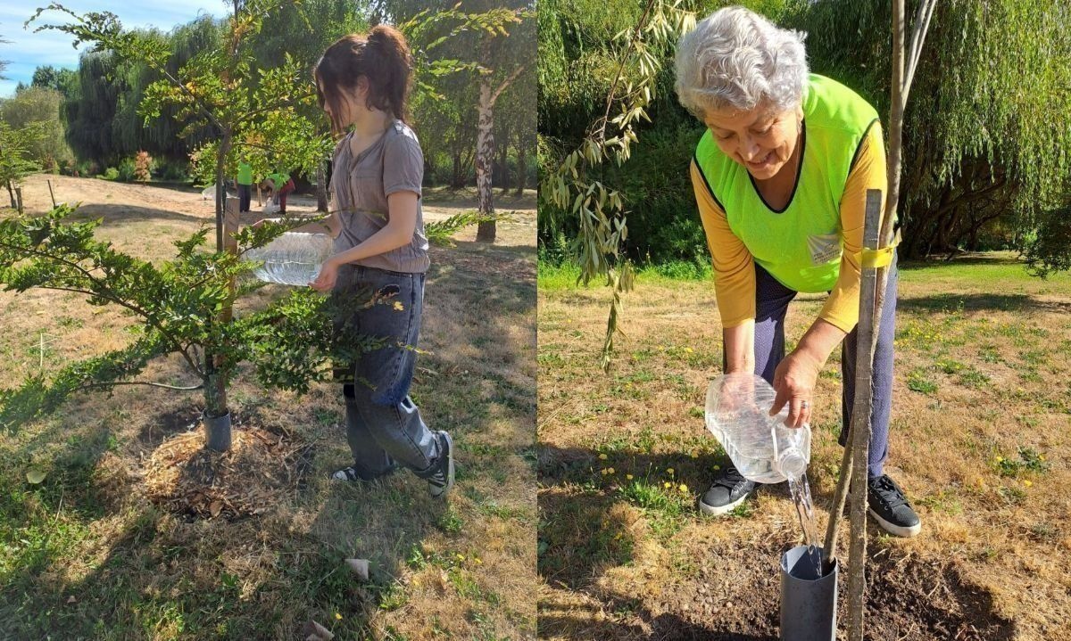 Vamos Limpiando y Regando reunió a osorninos en nueva actividad al aire libre