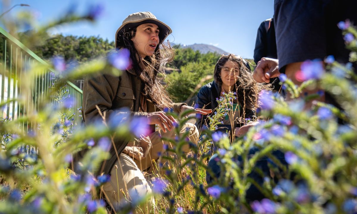 Recorrido yuyero invitó a descubrir la sabiduría de las plantas desde la patagonia