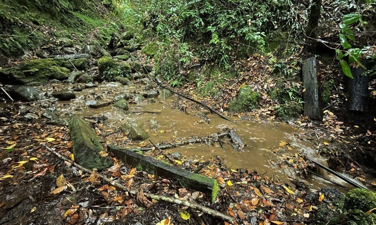 Identifican puntos críticos para la protección de las cuencas de agua en Lanco
