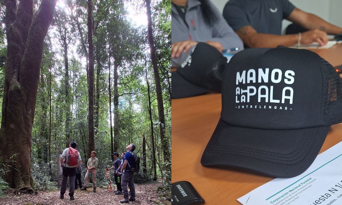 Campaña busca contribuir al cuidado y mantención de áreas protegidas en Los Ríos