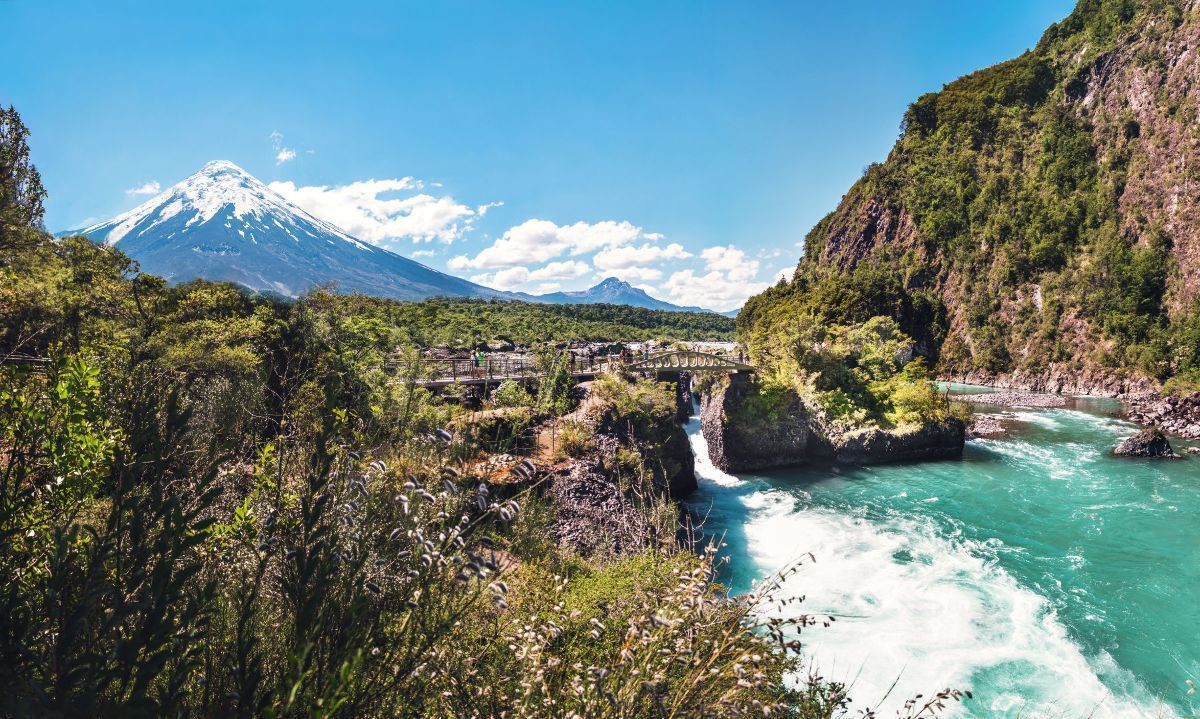 Inician construcción de primera bolsa climática regenerativa para ecosistemas en Los Lagos