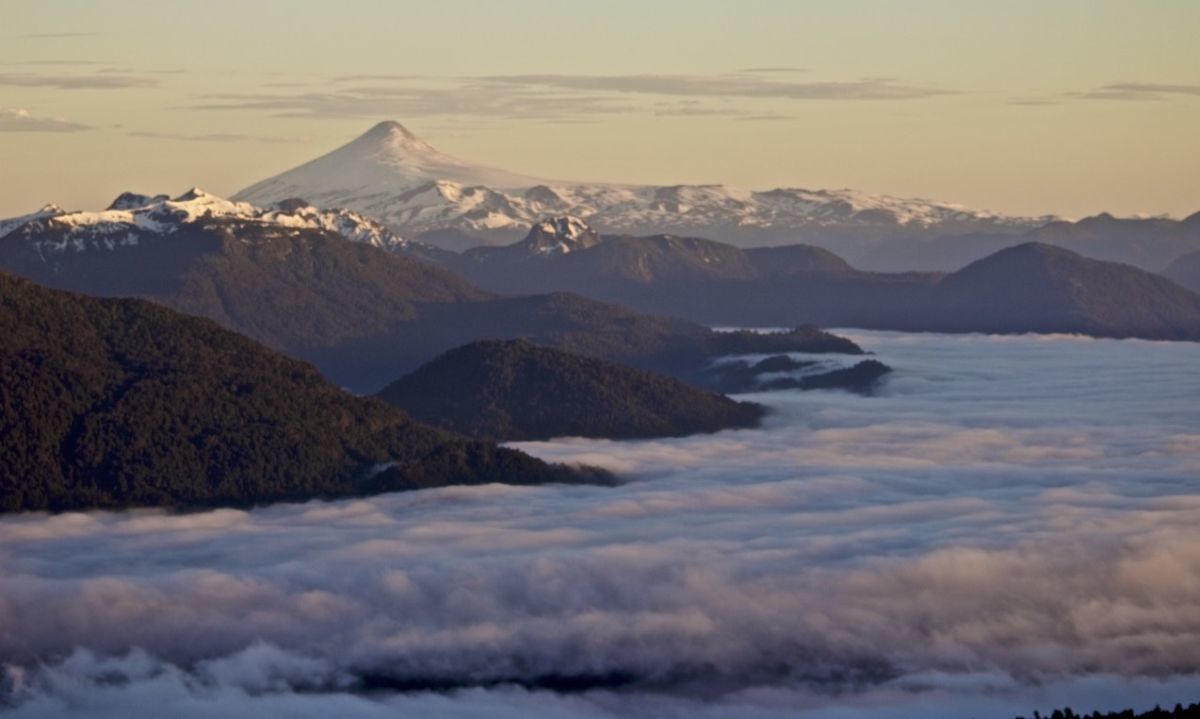 Aprueban recursos para plan de gestión de la Reserva de la Biósfera de los bosques de los Andes Australes