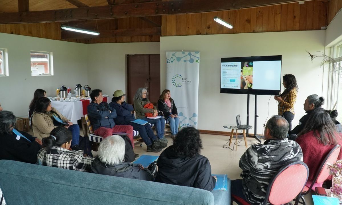 Escuela busca fortalecer el tejido social y económico en las comunas de Lanco y Máfil 