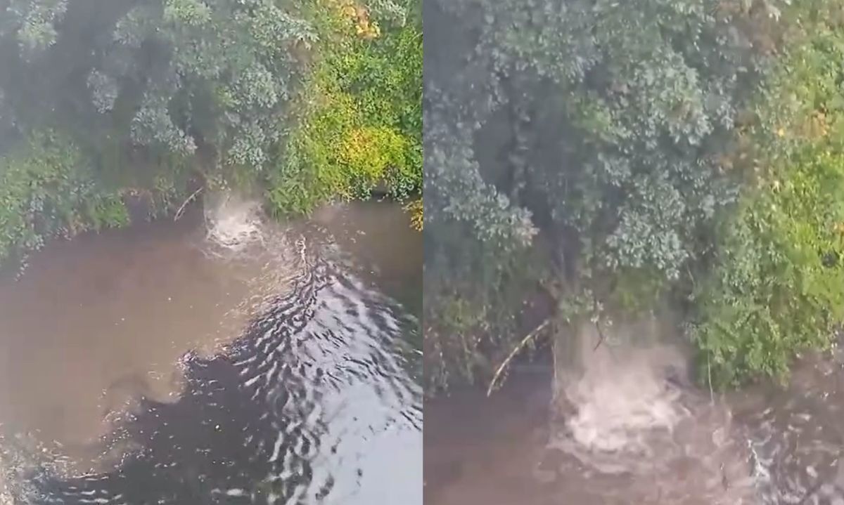 Registran descargas de aguas servidas en río Damas de Osorno