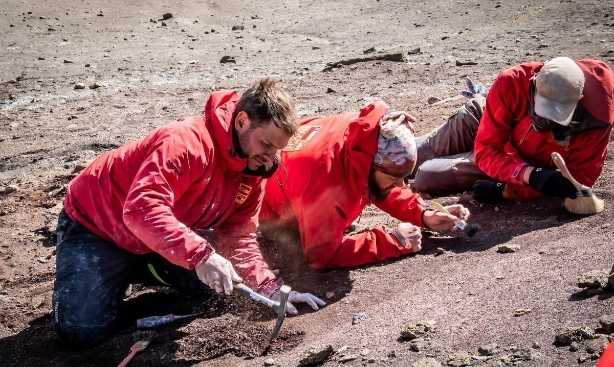 Lanzarán plataforma que busca aportar al desarrollo científico de la Macrozona Austral