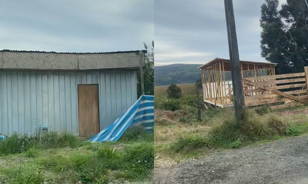 Reanudan mesa de trabajo por intervenciones en humedal Angachilla de Valdivia