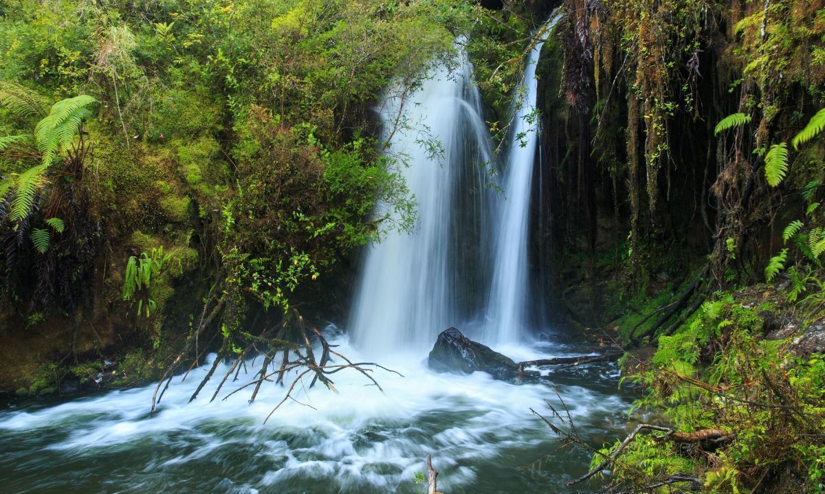 Antesala de los WSA: destacan programa tecnológico para impulsar el turismo sostenible en Chile