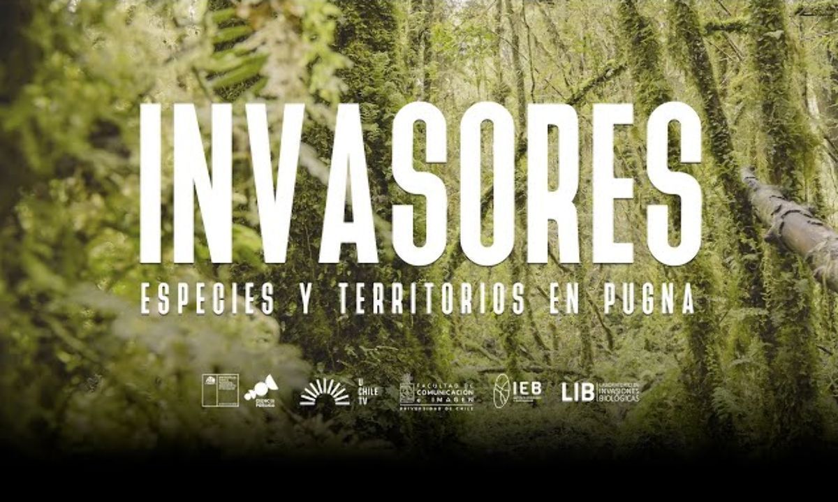 Estrenan serie documental que explora el impacto de especies exóticas en Chile