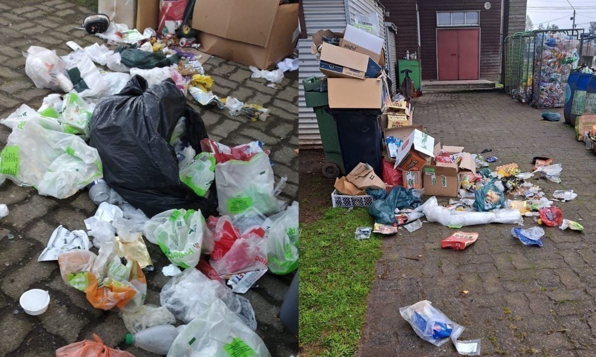Llaman a tomar conciencia y no botar basura en puntos verdes de Frutillar