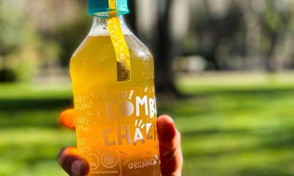 Cinco cosas que debes saber sobre la kombucha