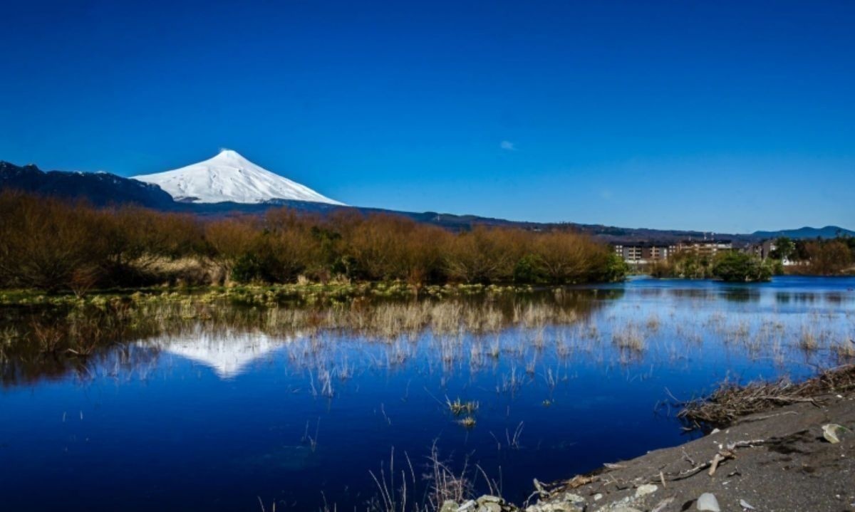 Anulan declaración de humedal urbano reconocido como el más grande de Chile 