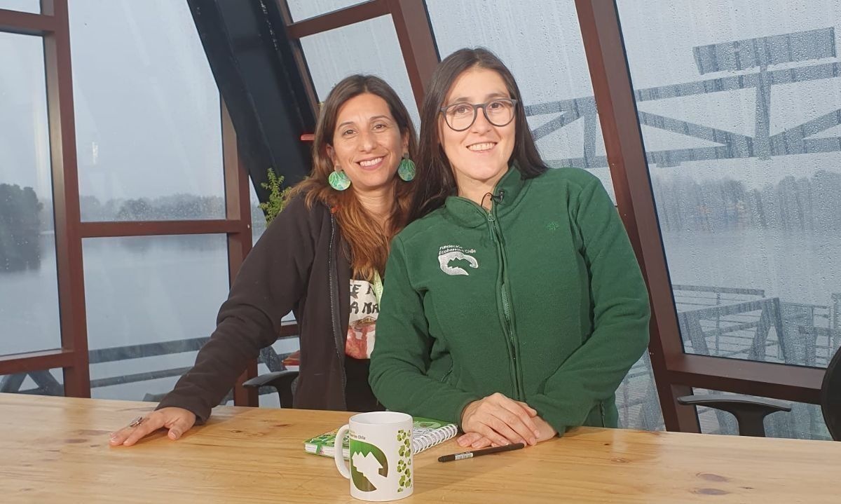 Revive el capítulo de Miércoles Alegres y Sustentables: Valdivia y sus avances en materia ambiental 