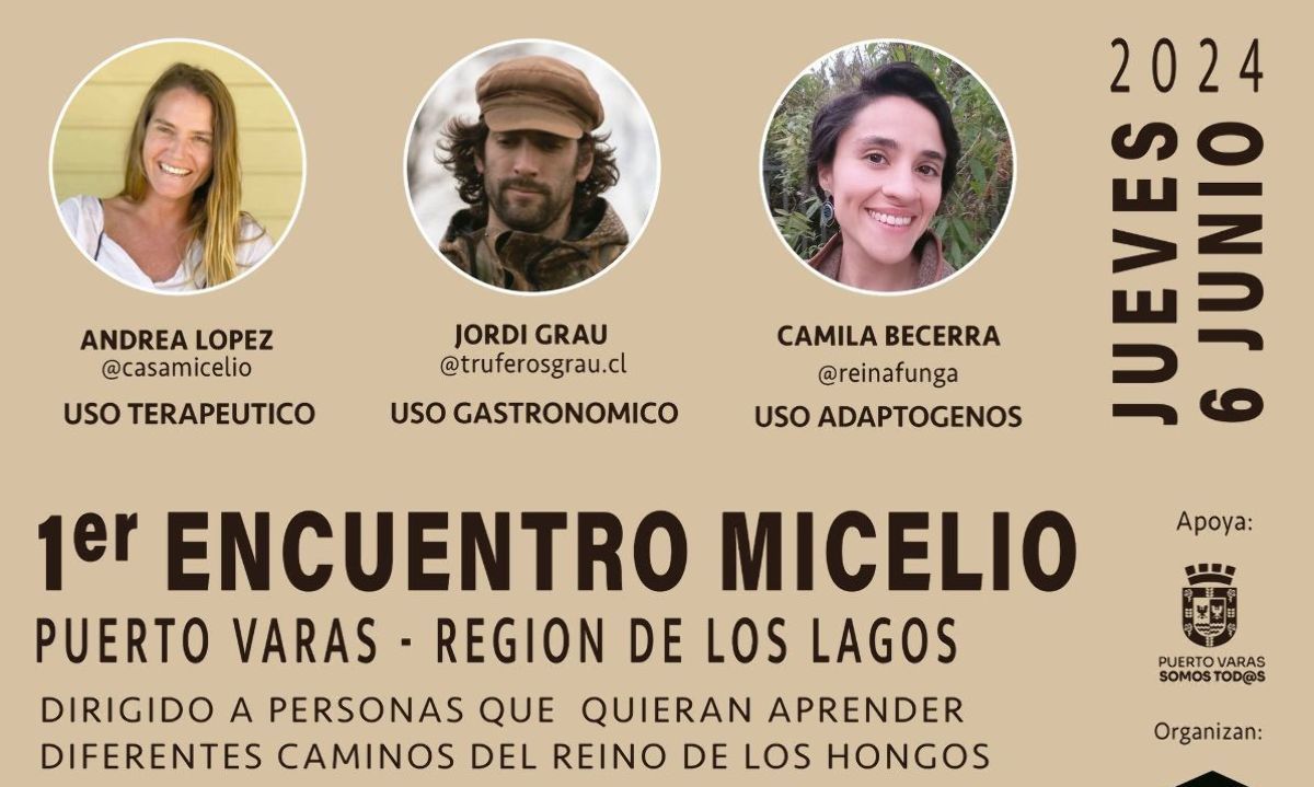 Puerto Varas realizará primer Encuentro Micelio sobre potenciales usos de los hongos