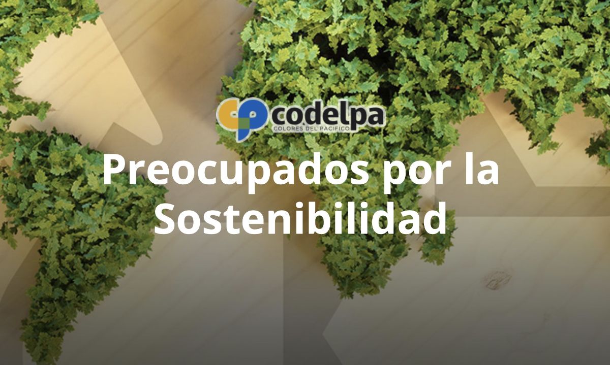 Codelpa en el Día Mundial del Medioambiente: compromiso y acción sustentable