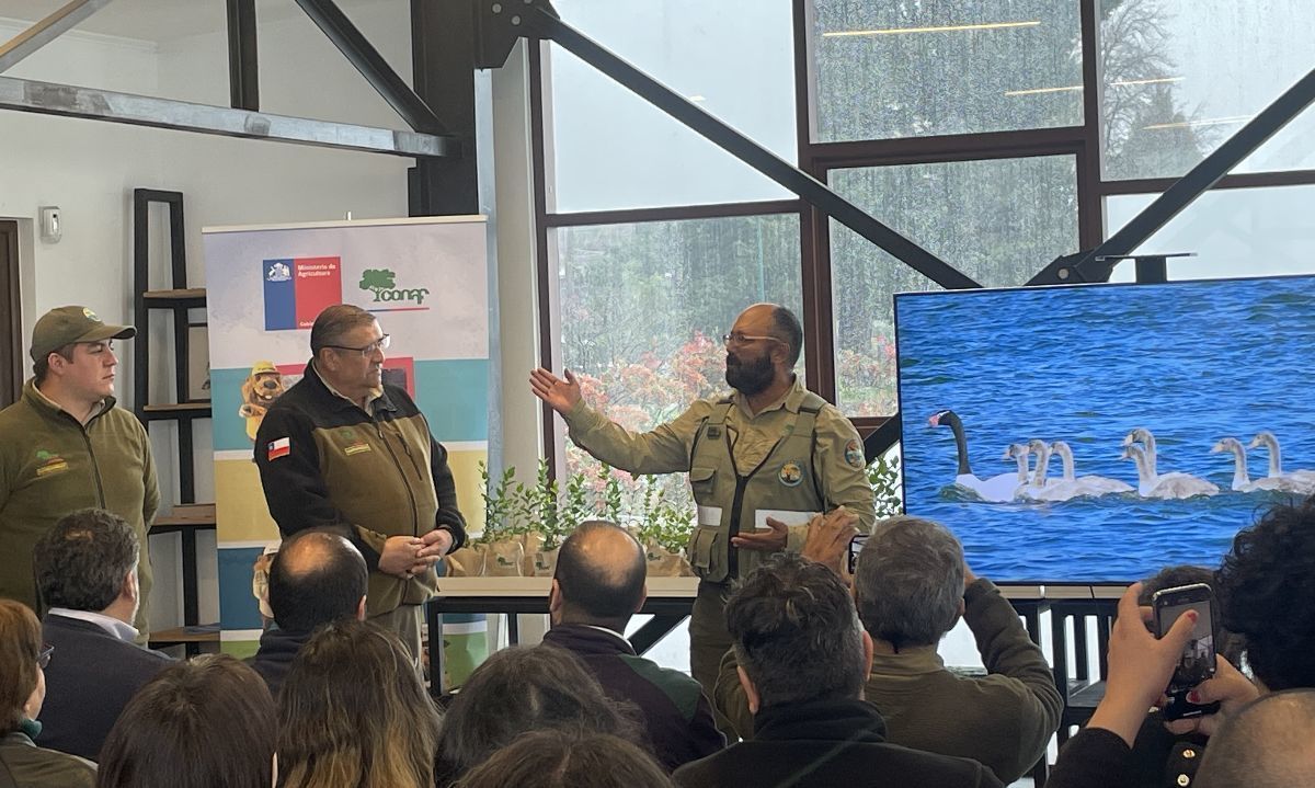 Celebran aniversario de Santuario de la Naturaleza Río Cruces y Chorocamayo en Valdivia 
