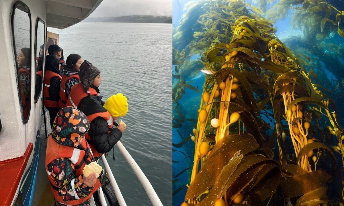 Bibliolancha navegó junto a niños de Chiloé enseñando la importancia de los bosques azules 
