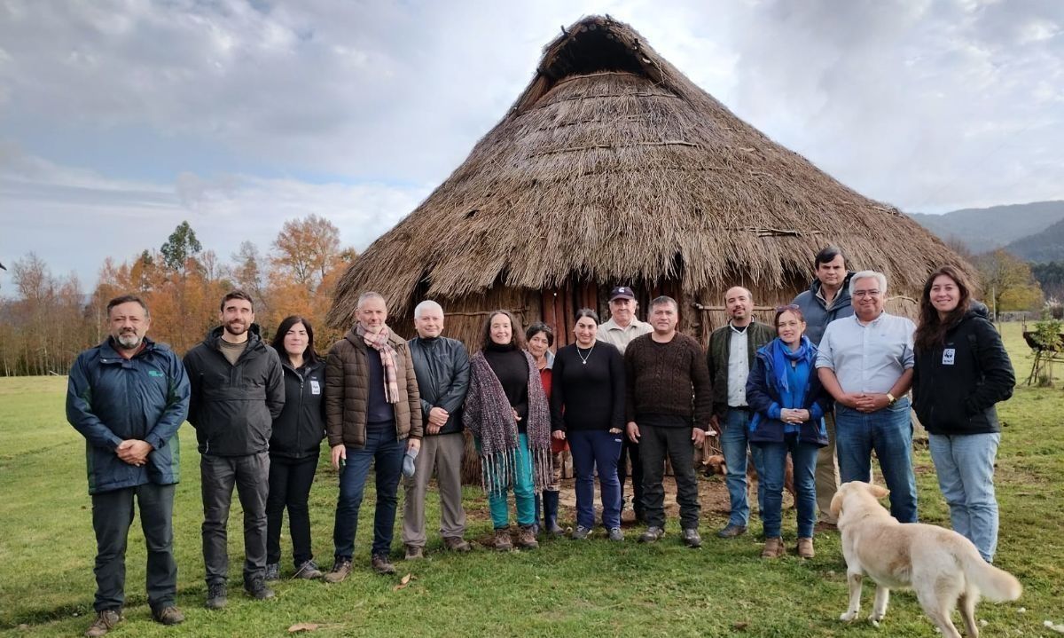 Comunidades de Los Ríos restauran bosque nativo para enfrentar crisis hídrica