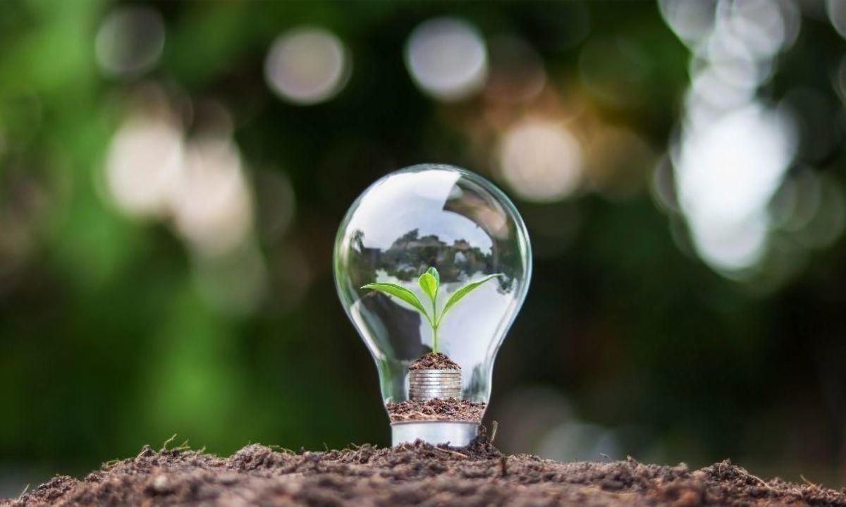 Anuncian nueva versión del programa que apoya a Pymes con proyectos sostenibles