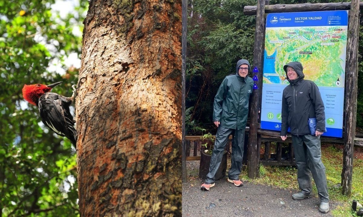 Fundador de Plastic Oceans Chile visitó Parque Tantauco llamando a continuar esfuerzos de conservación  