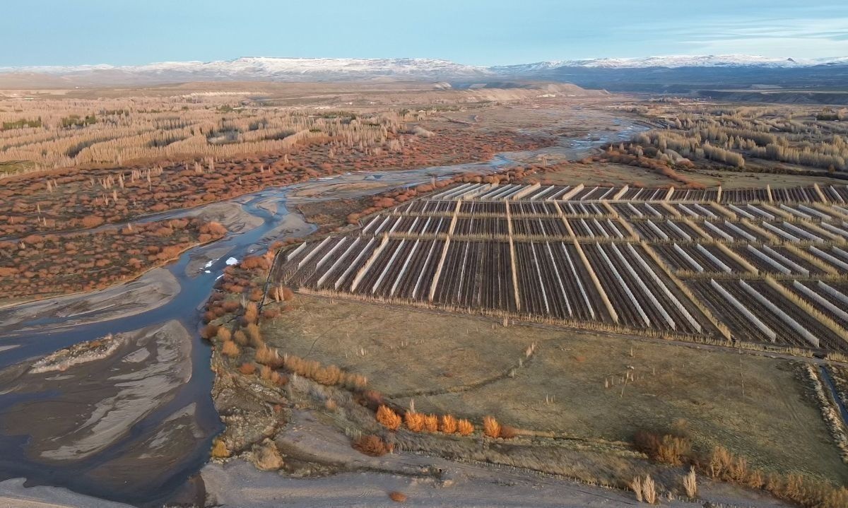Solicitan término anticipado de proyecto que "regulariza" drenaje ilegal de humedal de Aysén 