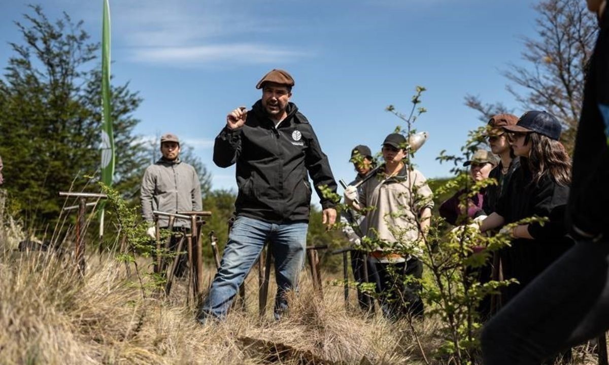 Fundación Reforestemos lanza convocatoria para su icónico voluntariado ciudadano en la patagonia