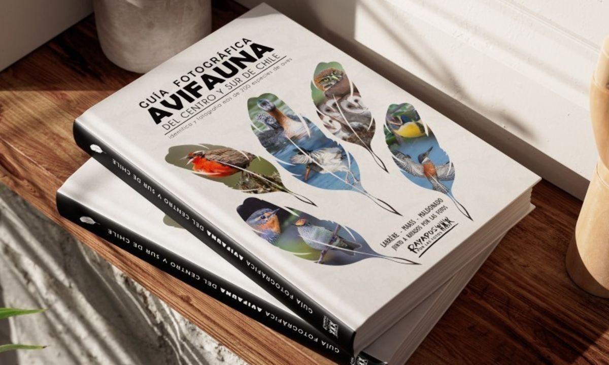 En Puerto Varas lanzan "Guía fotográfica de avifauna del centro y sur de Chile"