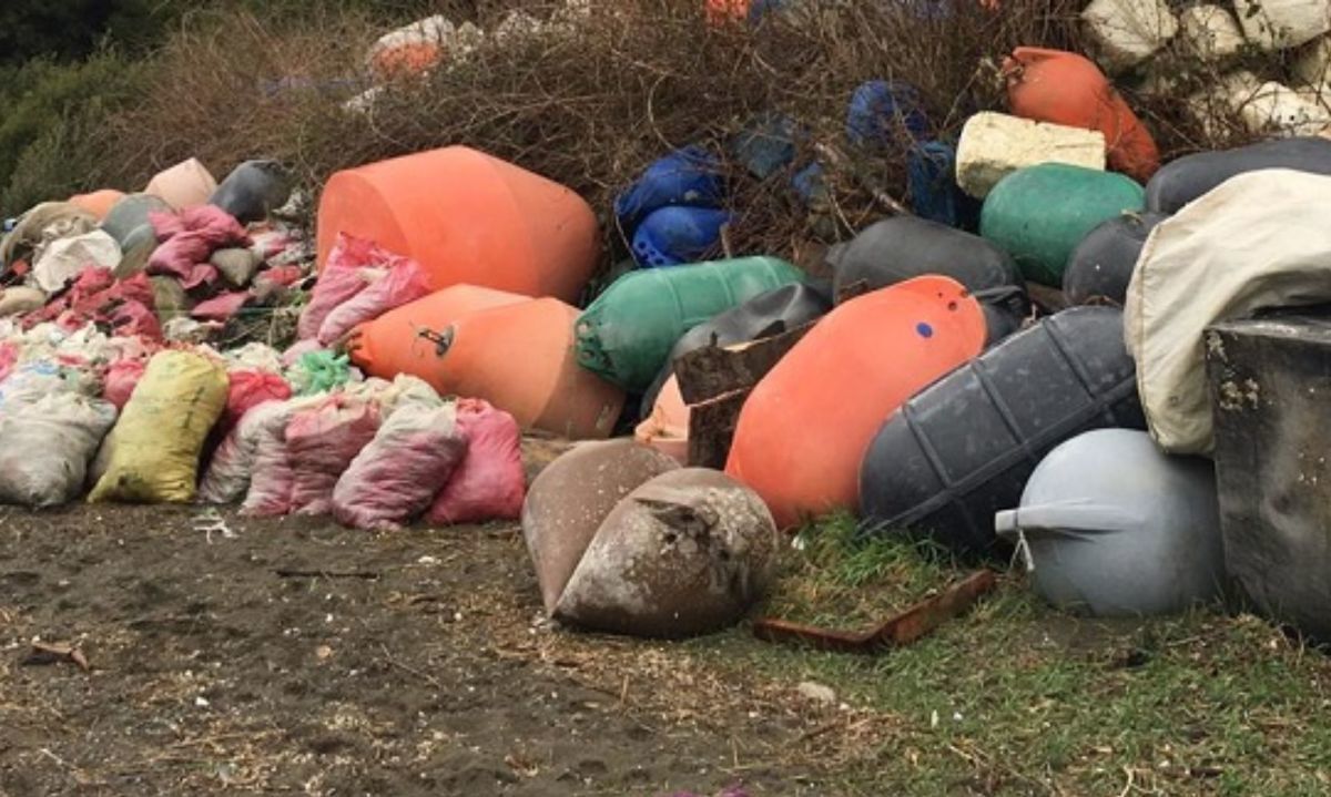 Verifican presencia de residuos de actividad acuícola en diversos puntos de la Región de Aysén