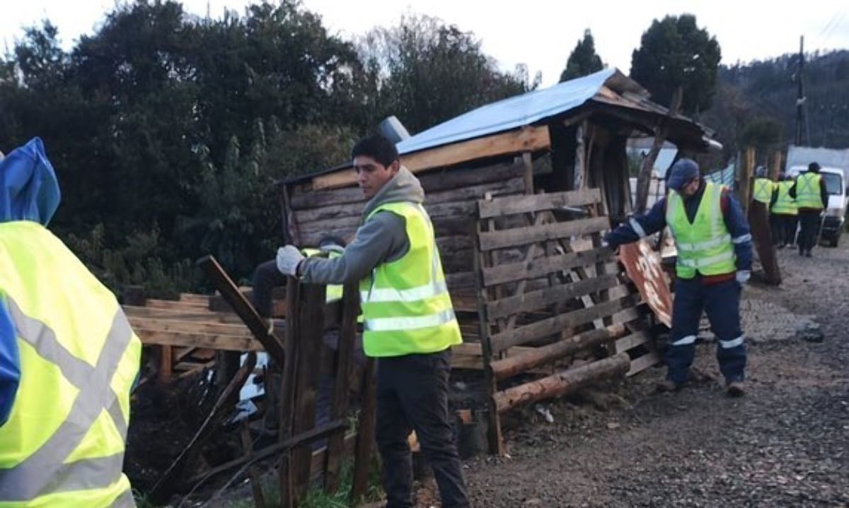 Recuperación de espacios intervenidos en el área protegida. Crédito: Seremi Bienes Nacionales Los Ríos.