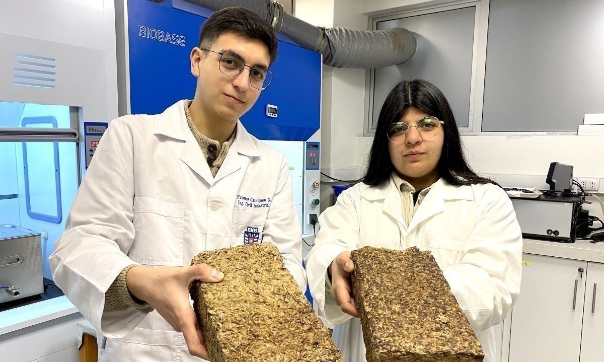 Estudiantes de ingeniería del Biobío desarrollan leña ecológica que contamina un 99% menos  