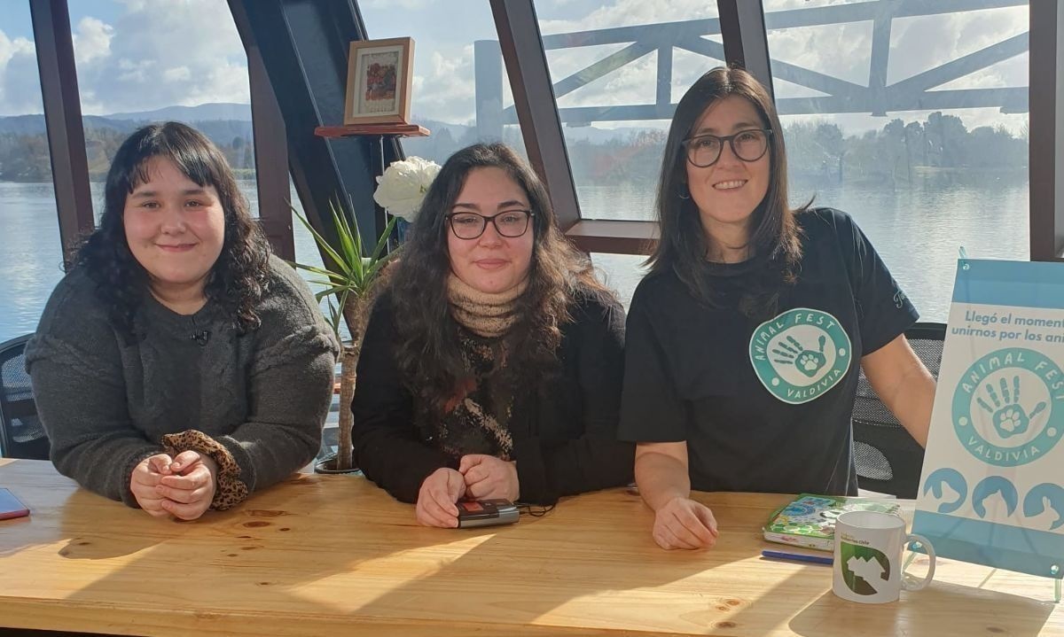 Konkoneku y Fundación Kitten: organizaciones valdivianas que buscan hacer la diferencia 