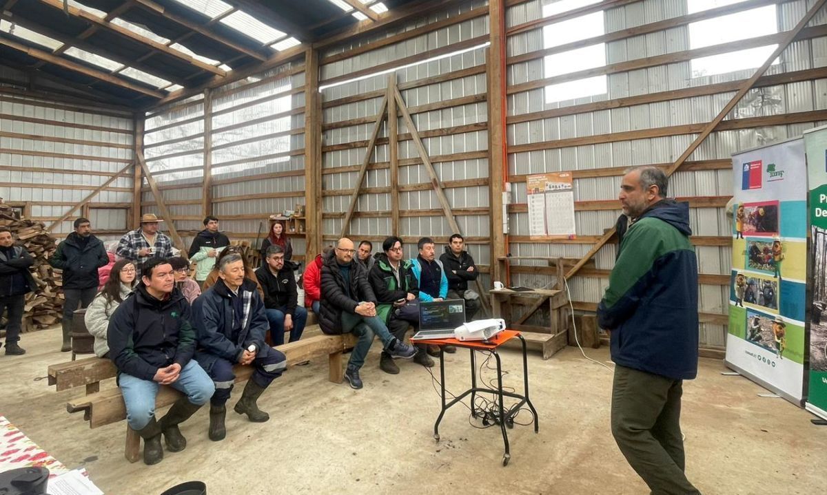 Proyecto de Los Ríos apuesta por el manejo sustentable de bosque y producción de leña de calidad 